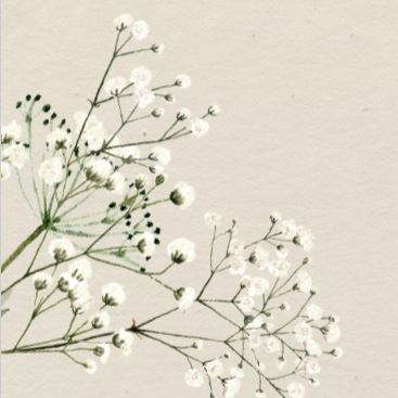 Hochzeit von Sophie und Tim 2025